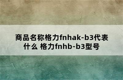 商品名称格力fnhak-b3代表什么 格力fnhb-b3型号